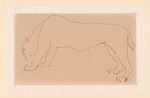 Schreitender Tiger