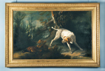 Vorstehhund mit Fasan im Unterholz