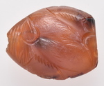 Fische