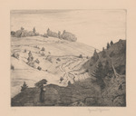 Bernauer Feldwege