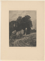 Landschaft mit hohen Bäumen