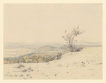 Landschaft