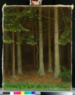 Waldstück