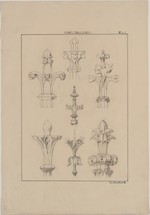 Studienblatt mit Kreuzblumen nach F. S. Meyer, Ansicht