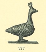 Pfau-Henne