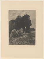 Landschaft mit hohen Bäumen