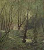 Waldbach mit Holzbrückchen