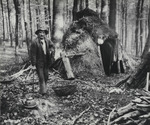 Foto: Köhler Konrad Schweinsberg aus Günsterode