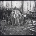 Foto: Köhler Konrad Schweinsberg aus Günsterode