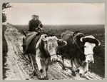 Ehepaar Sostmann bei Regen im Feld