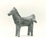 Pferd, stehend