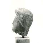 Weiblicher Kopf