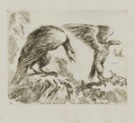 Adler