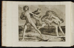 Atalante und Hippomenes