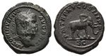 Caracalla / Elefant