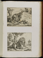 57-60. | Huit feuilles avec des lions | P. Potter | Marc. de Bÿe fec. 1664. Nic. / Visscher, exc.