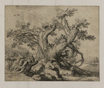 Rastender Mann mit Hund vor einem knorrigen Baum
