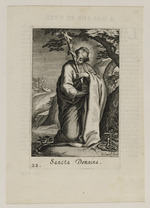 Die Hl. Domnina