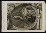 Ludwig XIV. König von Frankreich