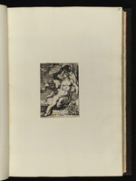 Jupiter und Antiope