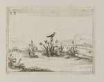 Vogel, auf einer Distel sitzend