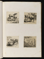 3. 4. | Acht dergleichen [numerirte kleine Stücke] mit Kühen u. d. g. Tit. eben derselbe. [Animalia ad vivum delineata / et aqua forti aeri impressa studio et arte Nicolai Berchemi.]