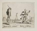 Smaraolo cornuto - Ratsa di Boio
