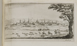 Hasenjagd in einer Ebene mit Stadt im Hintergrund