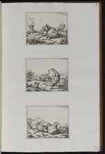 54-61. | Quelques animaux tirés au vif, et gravés sur le cuivre, / avec estude et travail par J. H. Roos. 1665.