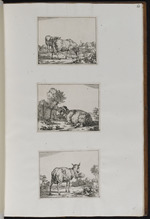 54-61. | Quelques animaux tirés au vif, et gravés sur le cuivre, / avec estude et travail par J. H. Roos. 1665.