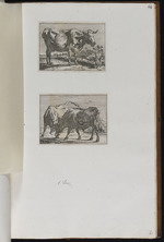 62-64. | Acht kleine Thierstücke mit Ochsen und Kühen | Js. v. Waesberge exc. 1662.
