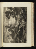 Landschaft mit Ziehbrunnen