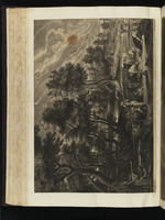 Landschaft mit Kühen, Mägden und Entenjägern