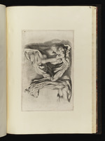 Zwei anatomische Armstudien