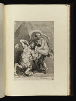 Nessus und Deianira