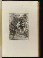 Allee eines Parkes mit Pavillon im Hintergrund
