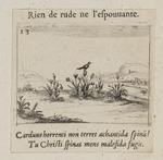 Vogel, auf einer Distel sitzend