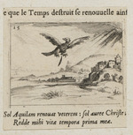 Adler, eine alte Feder abwerfend