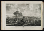Die Pferdeschau