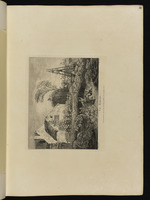 Der Sumpf