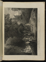 Die Musette