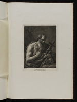 Der Hl. Hieronymus