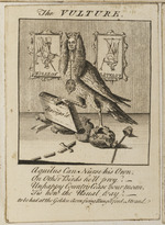 Der Geier