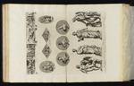 Bildwerke und Skulpturen der Fensterseite der Galleria Farnese