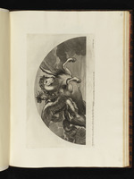 Bellerophon auf Pegasus