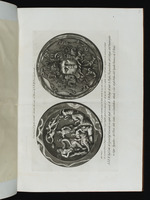 Die Tazza Farnese