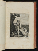 Apollo und Armor