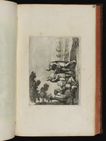 Marius Curius Dentatus