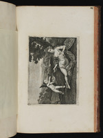 Venus und Cupido