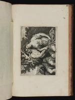 Venus und Adonis